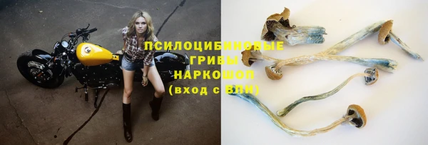 марки lsd Новодвинск