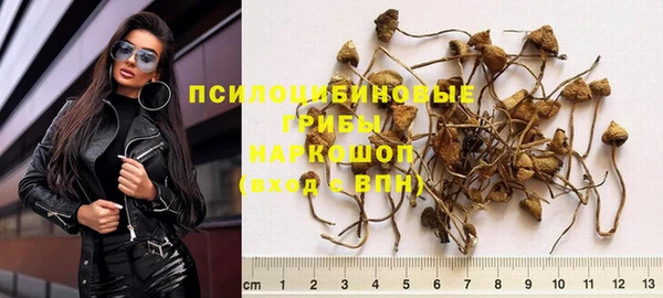 герыч Новозыбков