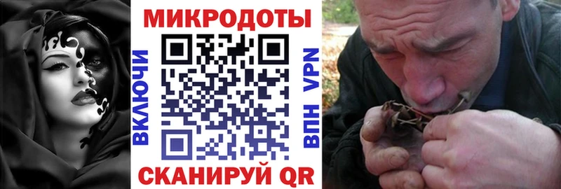 Псилоцибиновые грибы Cubensis  Ярцево 