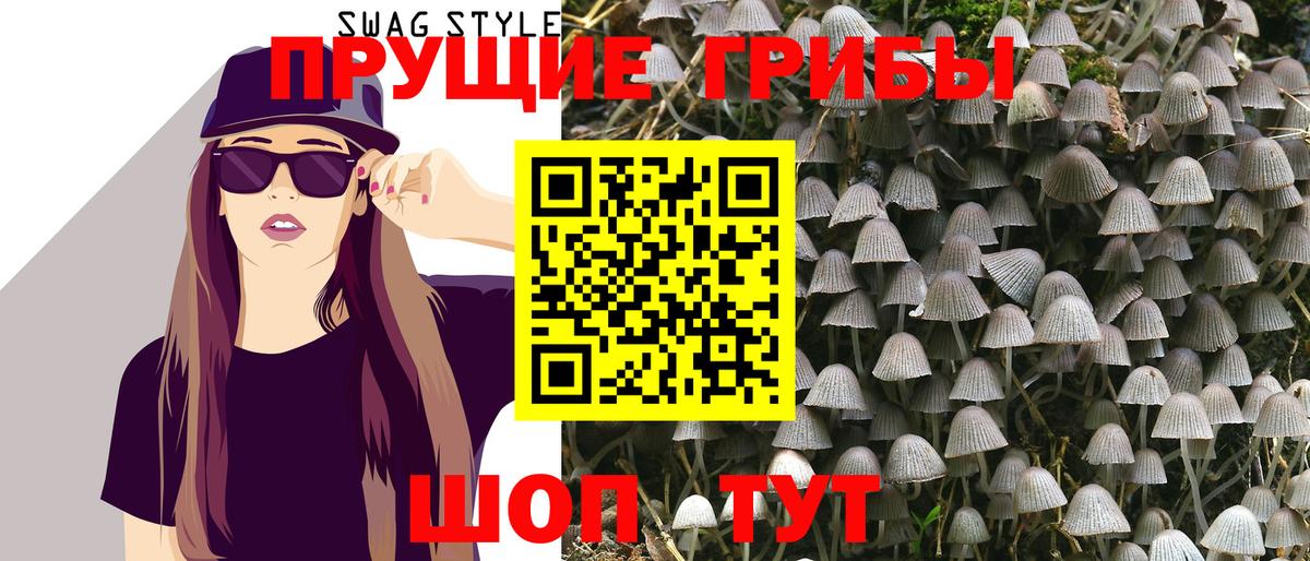 Псилоцибиновые грибы Psilocybine cubensis  Галлюциногенные грибы MAGIC MUSHROOMS  Ярцево  Вход с VPN 